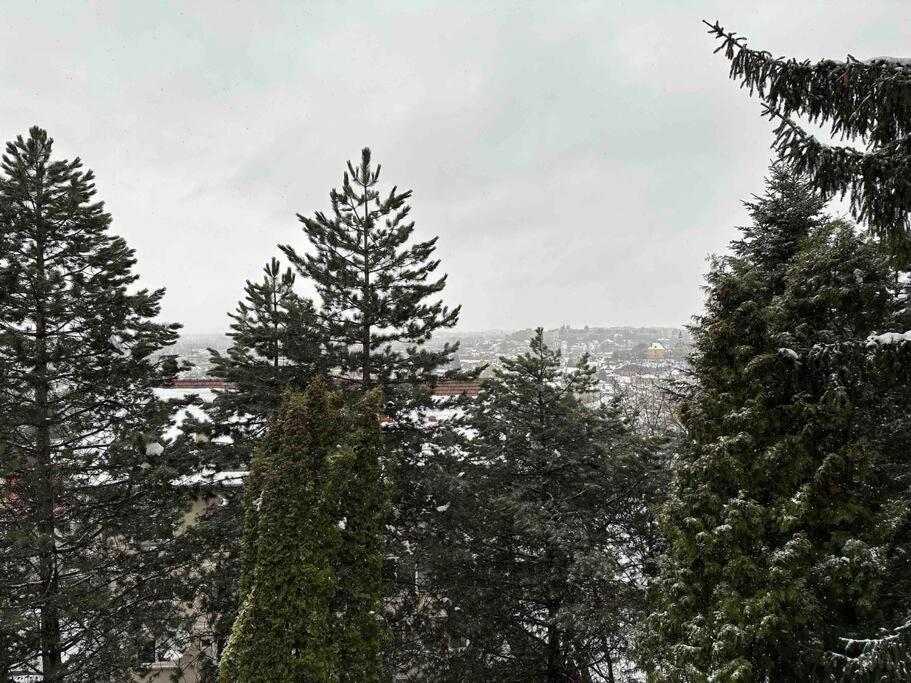 Apartament cu 1 dormitor