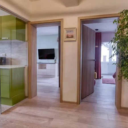 Central Luxury Apartment With City View-2